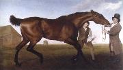 George Stubbs hambletonian,rubbing down painting